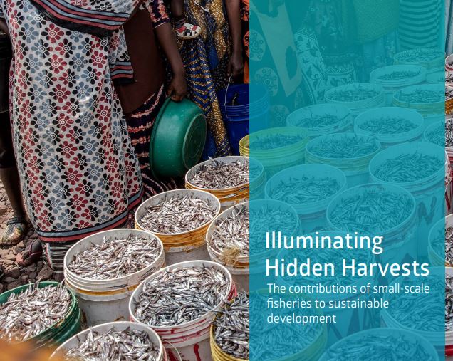 Illuminating Hidden Harvests