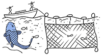 SLFSSF Logo